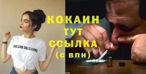 ешки Арсеньев