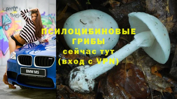 mix Аркадак
