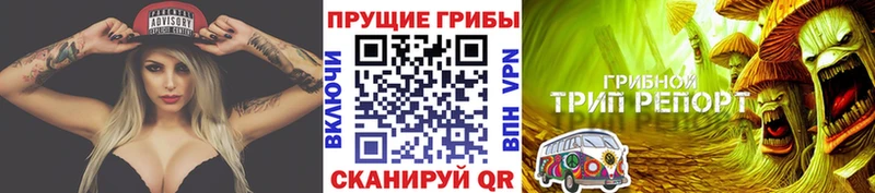 Псилоцибиновые грибы мухоморы  наркота  Салават 